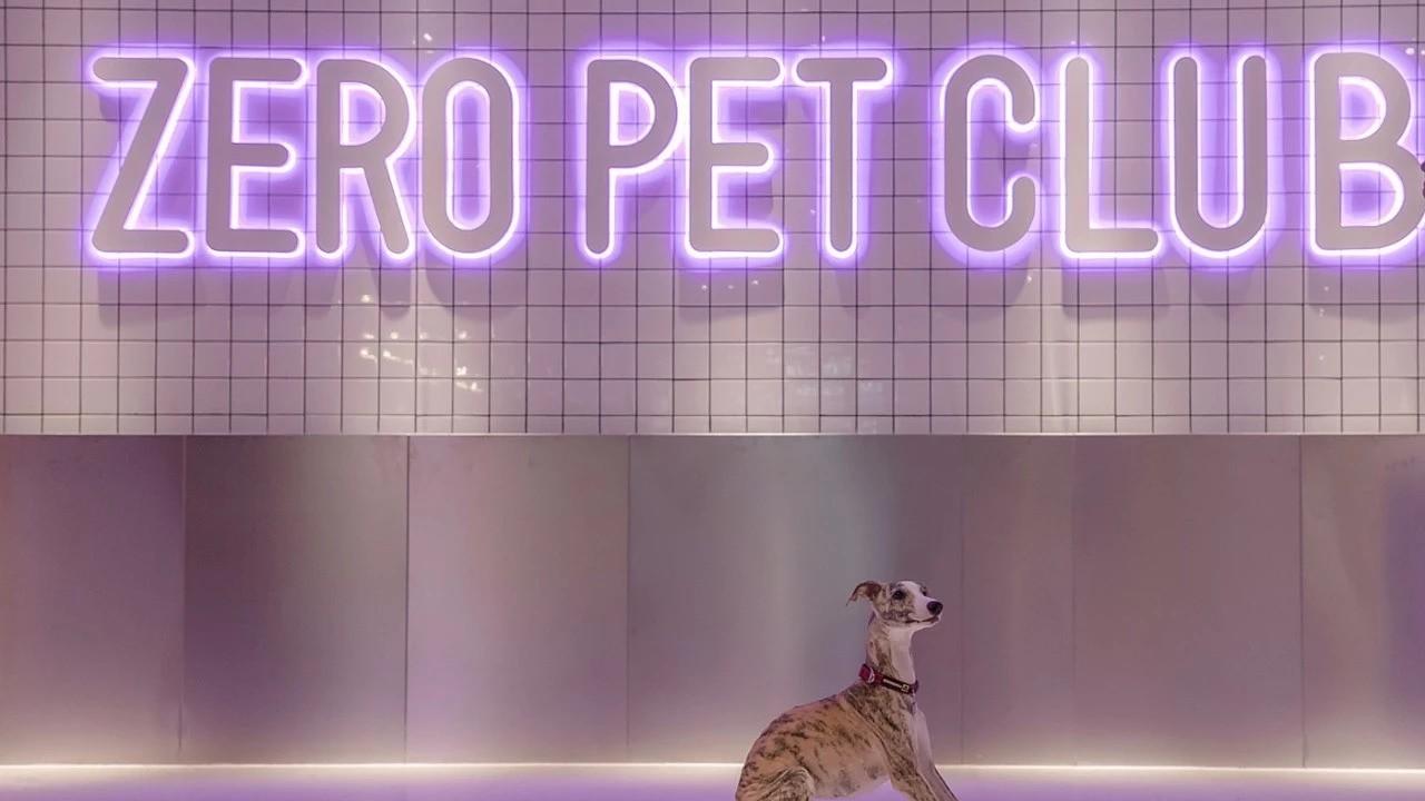 【案例分享】Zero Pet club-panDOMO Loft