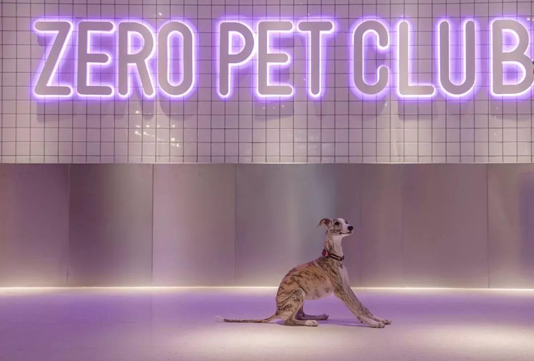 【案例分享】Zero Pet club-panDOMO Loft