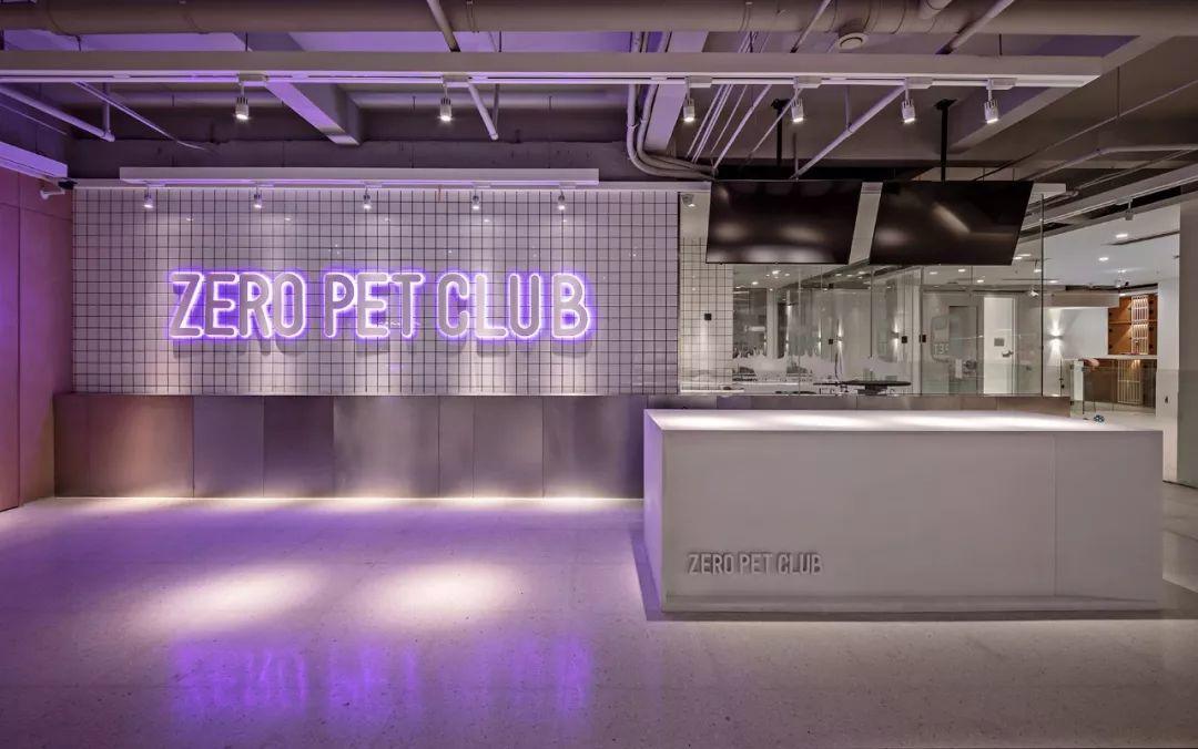 【案例分享】Zero Pet club-panDOMO Loft