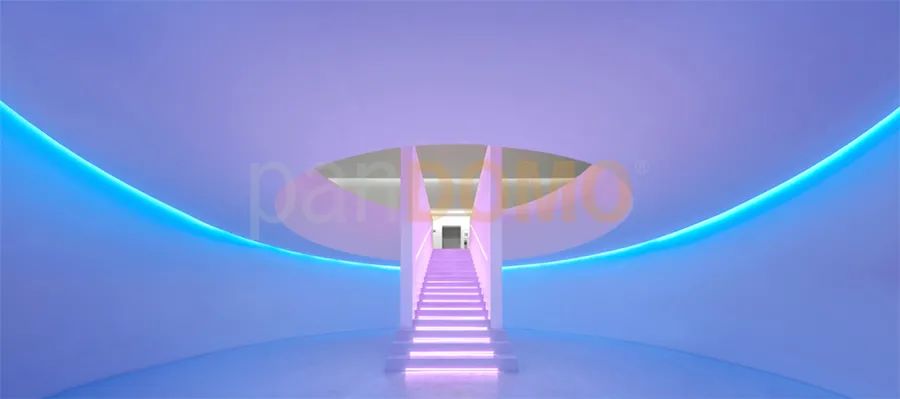 云夕博物纪 | 与panDOMO共赴自然之约 云夕博物纪 | 与panDOMO共赴自然之约